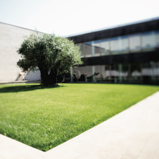 L'open day Vagheggi è il primo step per conoscere l'azienda e tutti i servizi a disposizione della clientela.